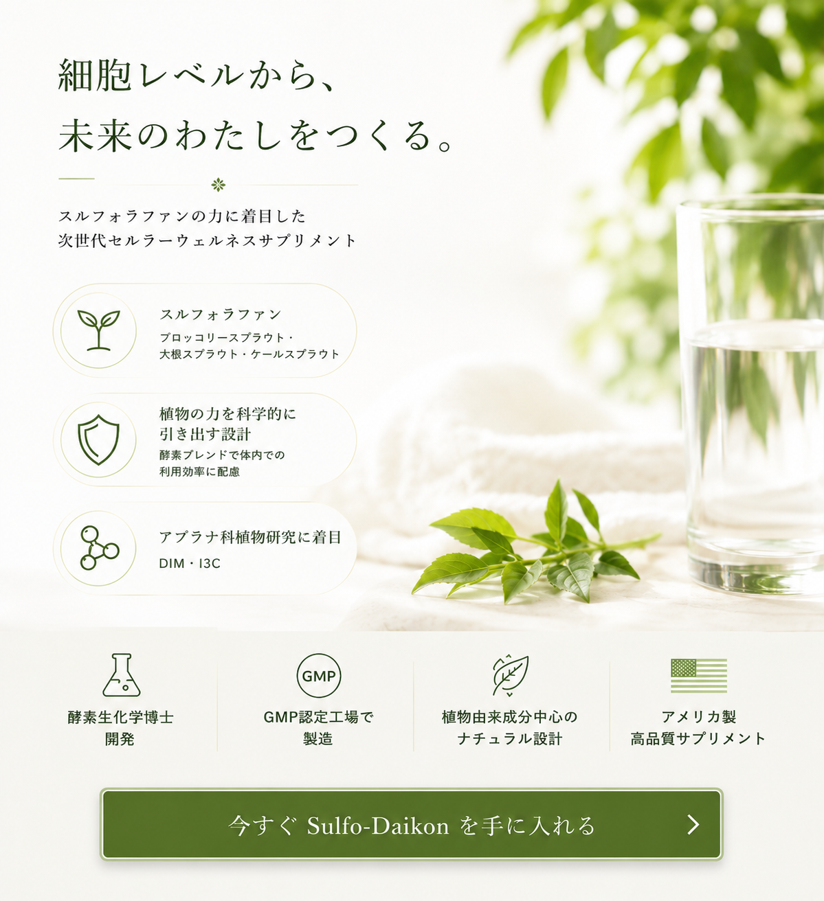 Sulfo- Daikon Supplement スルフォダイコンサプリメント
