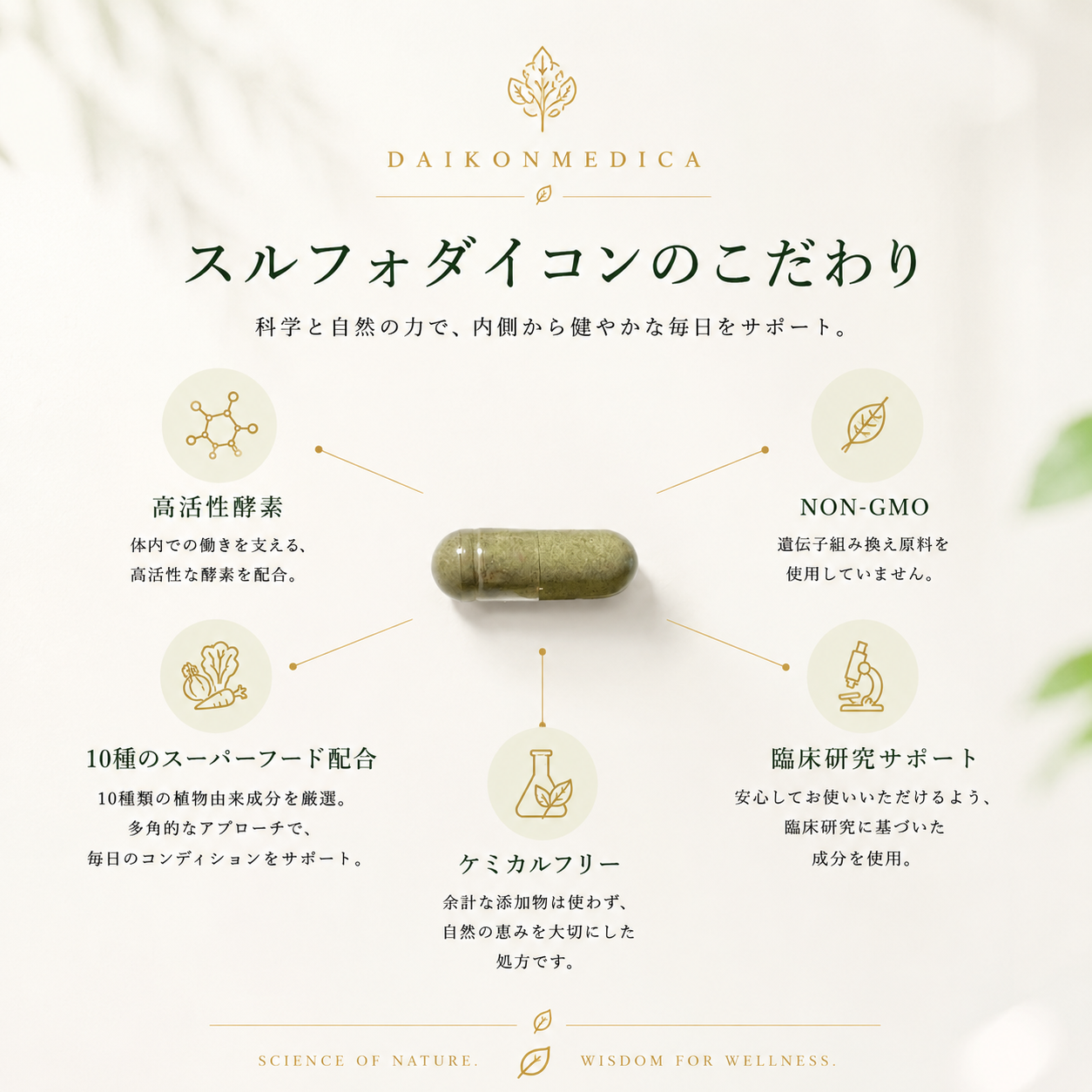 Sulfo- Daikon Supplement スルフォダイコンサプリメント